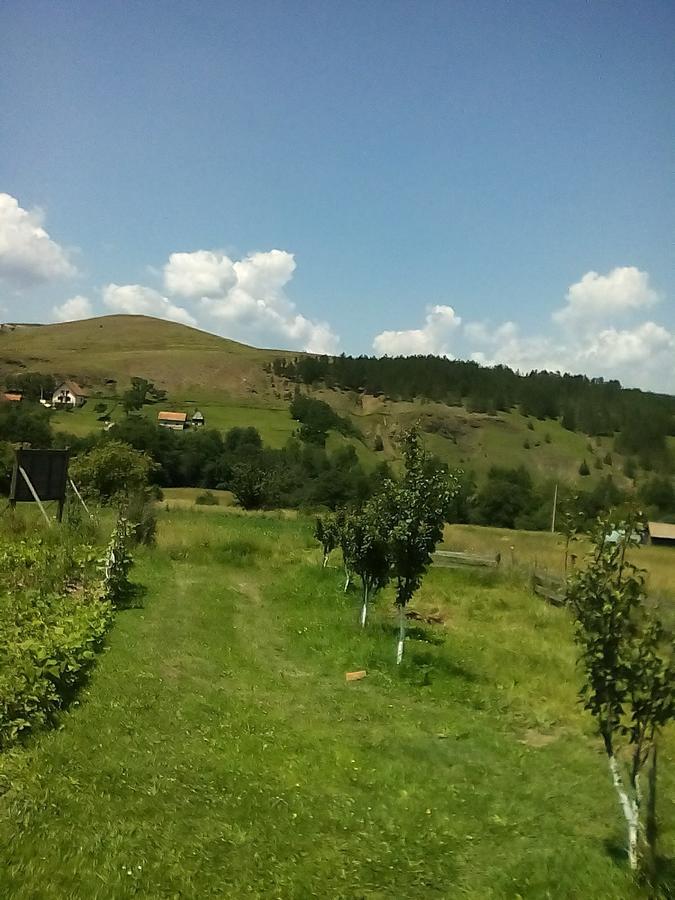 Holiday Home Vila Milka Kremna Exterior photo